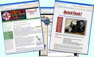 Website Speical Samples
